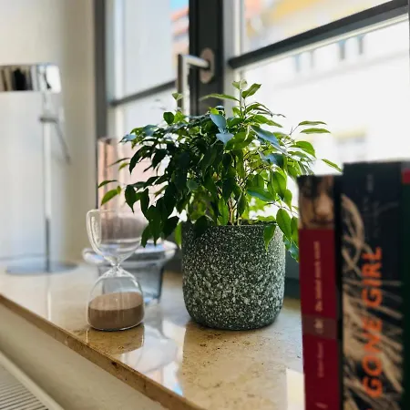 Im Herzen Der Stadt - Mit Kostenlosem Parkplatz Pirna