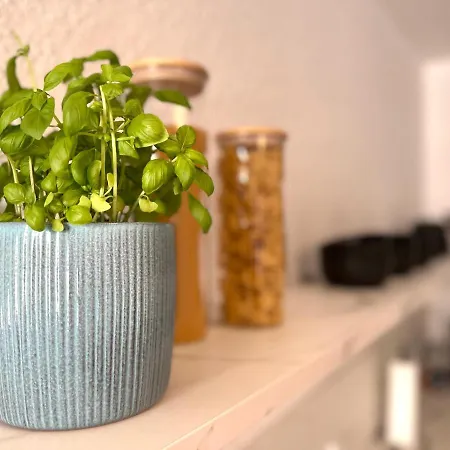 Διαμέρισμα Im Herzen Der Stadt - Mit Kostenlosem Parkplatz Πίρνα