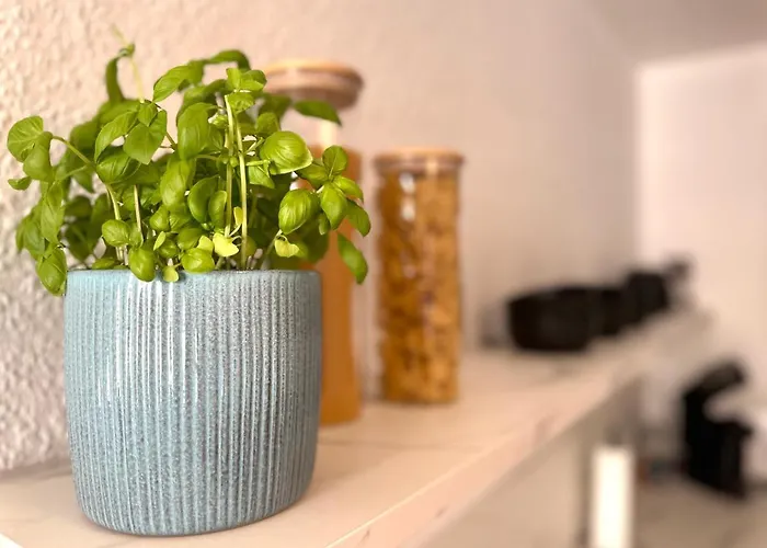 Apartment Im Herzen Der Stadt - Mit Kostenlosem Parkplatz Pirna